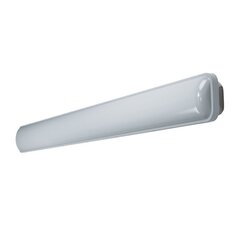 Hermētisks gaismeklis Ledvance LED SUBMARINE 600 18 W 4000 K cena un informācija | Lustras | 220.lv