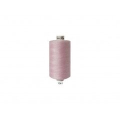 Швейные нитки № 120 RainBow® CORI C452 1000 м, цвет 1061 цена и информация | Принадлежности для шитья | 220.lv