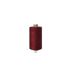 Джинсовые швейные нитки № 50 RainBow® CORI C202 500 м, цвет 1037 цена и информация | Принадлежности для шитья | 220.lv