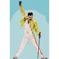Gleznošanas komplekts - Freddie Mercury, 35x50 cena un informācija | Gleznas pēc numuriem | 220.lv