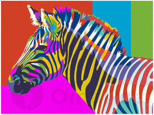 Gleznošanas komplekts - Krāsainā zebra, 30x40 cena un informācija | Gleznas pēc numuriem | 220.lv