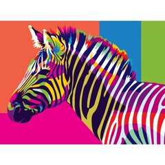 Gleznošanas komplekts - Krāsainā zebra, 30x40 cena un informācija | Gleznas pēc numuriem | 220.lv
