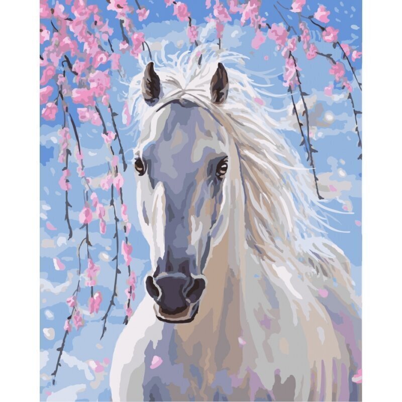 Gleznošanas komplekts - Sapņu zirgs, 40x50 cena un informācija | Gleznas pēc numuriem | 220.lv