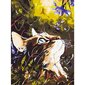 Gleznošanas komplekts - Kaķis sapņotājs, 30x40 cena un informācija | Gleznas pēc numuriem | 220.lv