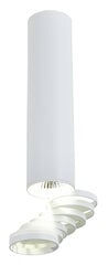 Candellux потолочный светильник 2282756 цена и информация | Потолочные светильники | 220.lv