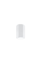 Candellux потолочный светильник 2282855 цена и информация | Потолочные светильники | 220.lv