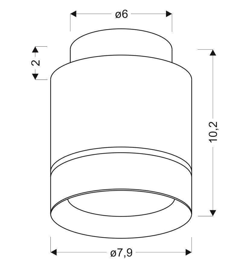 Candellux griestu lampa 2275918 цена и информация | Griestu lampas | 220.lv