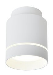 Candellux потолочный светильник 2275918 цена и информация | Потолочный светильник | 220.lv