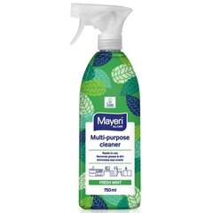 MAYERI All-Care universāls tīrīšanas līdzeklis Piparmētra 750ml цена и информация | Очистители | 220.lv