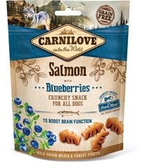 Carnilove Snack Salmon Blueberries 200g Suņiem цена и информация | Лакомства для собак | 220.lv