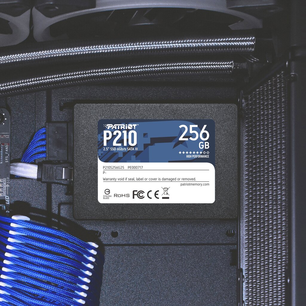 Patriot P210S256G25 цена и информация | Iekšējie cietie diski (HDD, SSD, Hybrid) | 220.lv