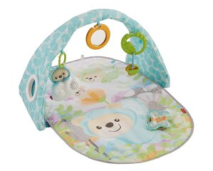 Muzikālais spēļu paklājs Fisher Price "Tauriņu sapņi" cena un informācija | Fisher Price Higiēna un veselība | 220.lv