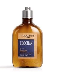 Matu un ķermeņa dušas želeja vīriešiem L'Occitane 250 ml cena un informācija | Dušas želejas, eļļas | 220.lv