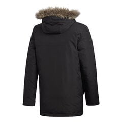 Куртка для мужчин Adidas Xploric Parka цена и информация | Мужские куртки | 220.lv