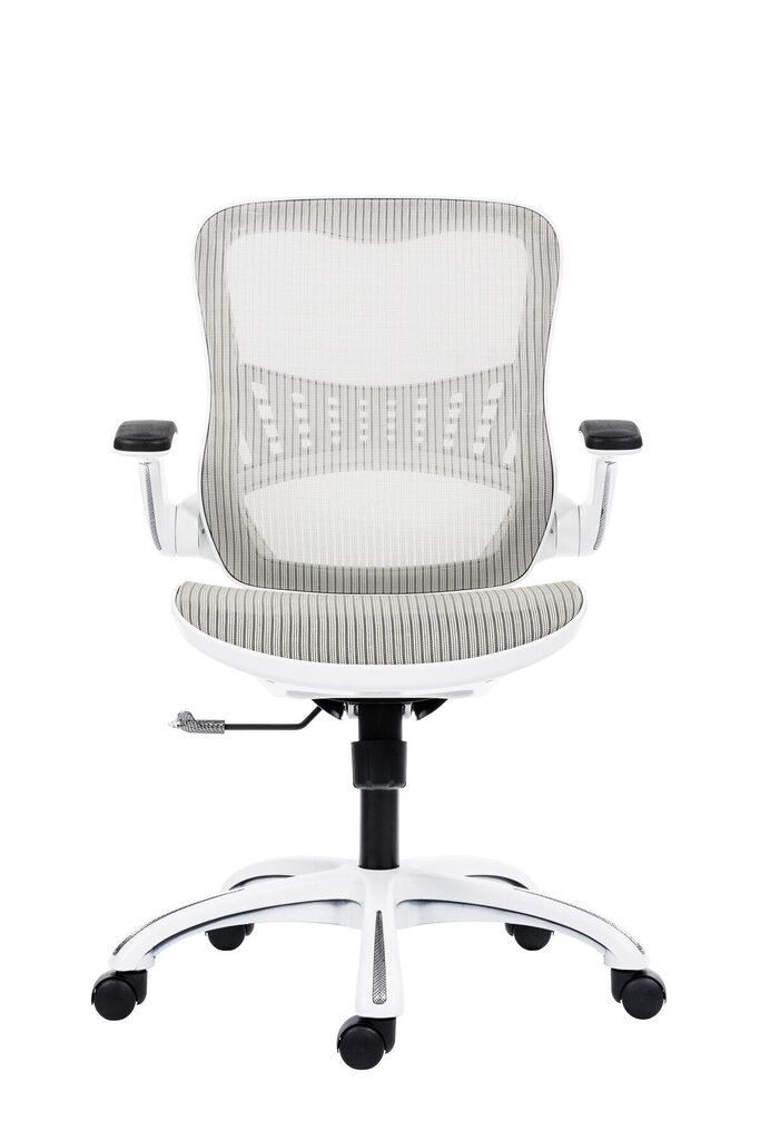 Biroja krēsls Wood Garden Dream, balts cena un informācija | Biroja krēsli | 220.lv
