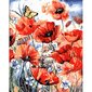 Gleznošanas komplekts - Magoņu ziedi, 40x50 цена и информация | Gleznas pēc numuriem | 220.lv