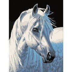 Gleznošanas komplekts - Sniegbaltais zirgs, 30x40 cena un informācija | Gleznas pēc numuriem | 220.lv