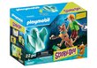 70287 PLAYMOBIL® Scooby-Doo! Scooby, Shaggy un spoks cena un informācija | Konstruktori | 220.lv