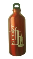 Pudele Sport 600 ml, metāla цена и информация | Фляги для воды | 220.lv