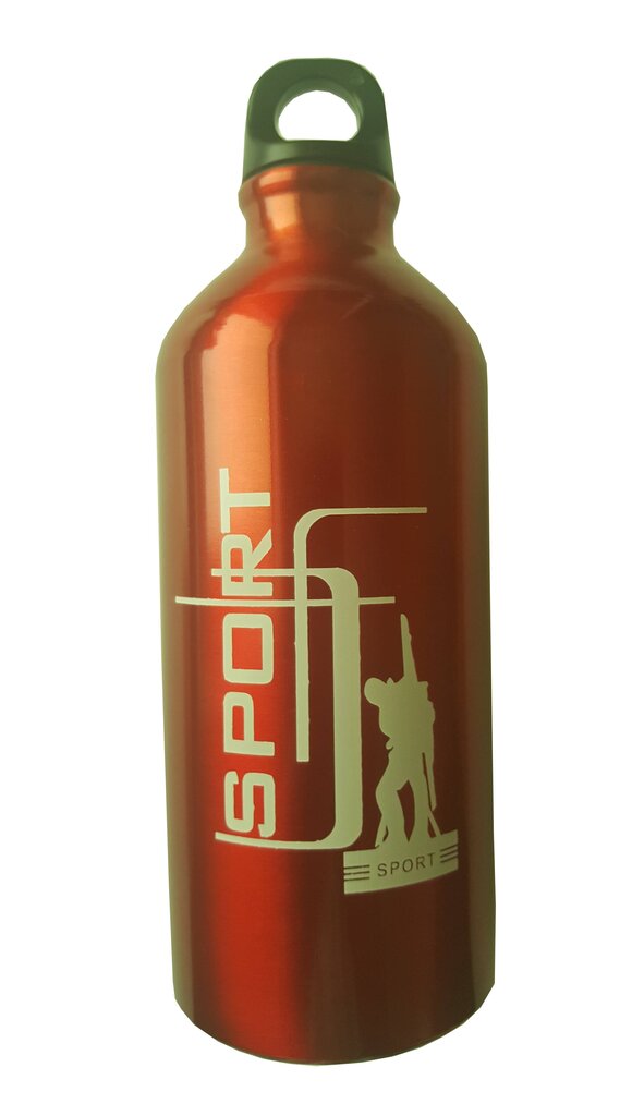 Pudele Sport 600 ml, metāla cena un informācija | Ūdens pudeles | 220.lv