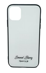 Чехол TEMPERED GLASS SoundBerry для Samsung Galaxy S9 цена и информация | Чехлы для телефонов | 220.lv