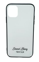 Чехол TEMPERED GLASS SoundBerry для Samsung Galaxy S10 цена и информация | Чехлы для телефонов | 220.lv
