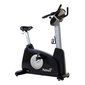 Velotrenažieris Tunturi Platinum Upright Bike PRO цена и информация | Velotrenažieri | 220.lv