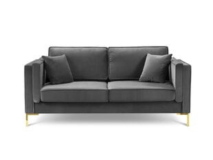 Двухместный бархатный диван Milo Casa Giuseppe, серый цена и информация | Диваны | 220.lv