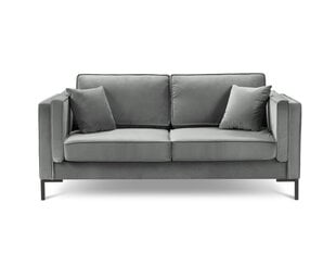Двухместный бархатный диван Milo Casa Luis, светло-серый цена и информация | Диваны | 220.lv