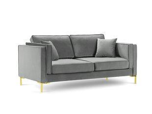 Двухместный бархатный диван Milo Casa Giuseppe, светло-серый цена и информация | Диваны | 220.lv