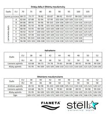 Sieviešu peldkostīms Fianeta 2699 cena un informācija | Peldkostīmi | 220.lv