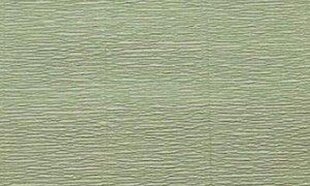 Креповая бумага Cartotecnica Rossi № 562 50 x 250 cm 180 г/м² Sage Green цена и информация | Тетради и бумажные товары | 220.lv