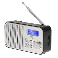 Цифровое радио FM / DAB CAMRY CR-1179 цена и информация | Радиоприемники и будильники | 220.lv