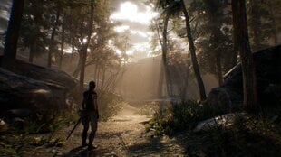 Hellblade: Senua's Sacrifice Xbox One cena un informācija | Datorspēles | 220.lv