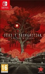 Deadly Premonition 2: A Blessing in Disguise NSW цена и информация | Компьютерные игры | 220.lv