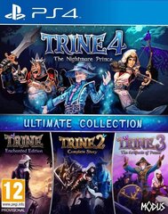 PS4 Trine: Ultimate Collection incl. Trine 1-4 cena un informācija | Datorspēles | 220.lv