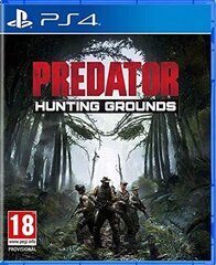 Predator: Hunting Grounds PS4 цена и информация | Компьютерные игры | 220.lv