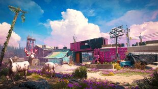 Far Cry New Dawn Superbloom Edition PS4 cena un informācija | Datorspēles | 220.lv