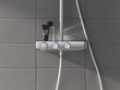 Termostata dušas sistēma Grohe SmartControl Euphoria Mono 260, hroma, 26509000 cena un informācija | Dušas komplekti un paneļi | 220.lv