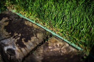 Садовый бордюр Bradas Lawn Board, зеленый цена и информация | Заборы и принадлежности к ним | 220.lv