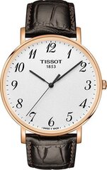 Часы женские Tissot Everytime BIG T1096103603200 цена и информация | Женские часы | 220.lv