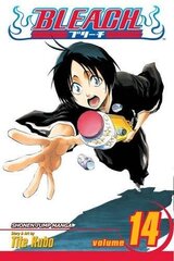 Komiksi Manga Bleach Vol 14 cena un informācija | Komiksi | 220.lv