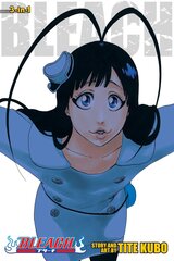 Komiksi Manga Bleach Vol 22 3 in 1 cena un informācija | Komiksi | 220.lv