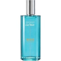 Tualetes ūdens Davidoff Cool Water Wave EDT vīriešiem 40 ml cena un informācija | Davidoff Smaržas, kosmētika | 220.lv