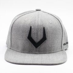 Кепка с козырьком «3D V» Snapback, серая цена и информация | Мужские шарфы, шапки, перчатки | 220.lv