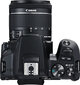 Canon EOS 250D + 18-55mm IS STM Kit, melns цена и информация | Digitālās fotokameras | 220.lv