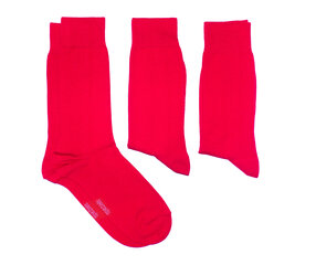 Мужские носки (три пары в упаковке) цена и информация | Мужские носки | 220.lv
