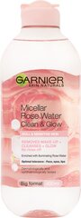 Мицеллярная очищающая вода для лица Garnier Skin Active 400 мл цена и информация | Средства для очищения лица | 220.lv