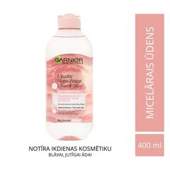 Micelārais attīrošs sejas ūdens Garnier Skin Active 400 ml cena un informācija | Sejas ādas kopšana | 220.lv