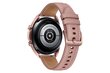 Samsung Galaxy Watch3 SM-R855 Mystic Bronze цена и информация | Viedpulksteņi (smartwatch) | 220.lv